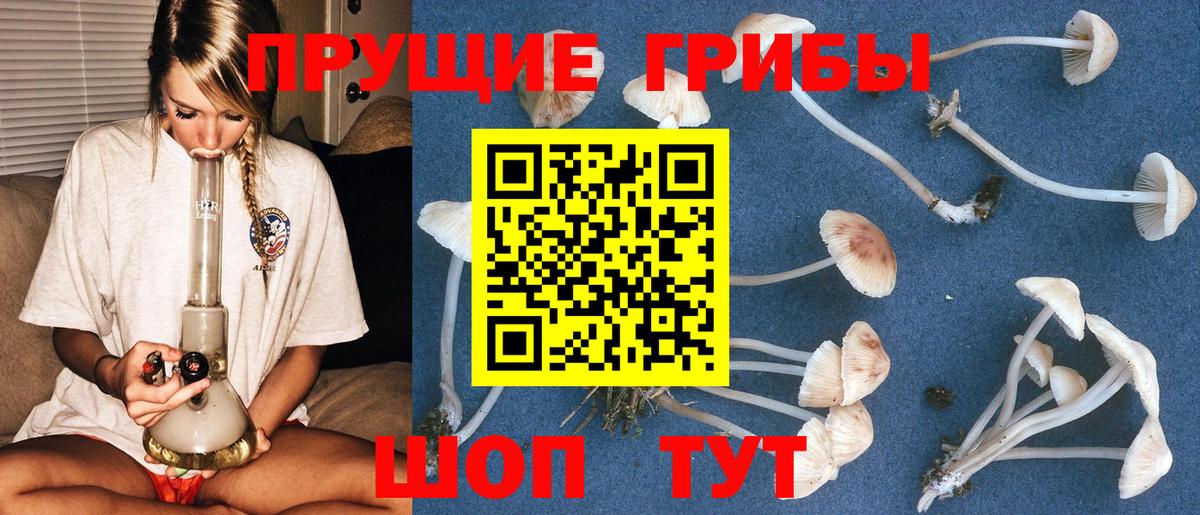 Галлюциногенные грибы GOLDEN TEACHER Прокопьевск