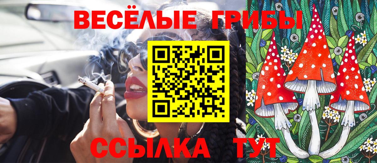 Галлюциногенные грибы ЛСД  Вход с VPN  Прокопьевск 